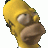 Homer J Simpson