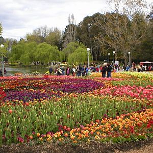 Floriade in Canberra