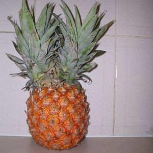 Tassie pineapple