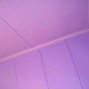 purple flat before
