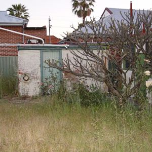 shed and frangipani