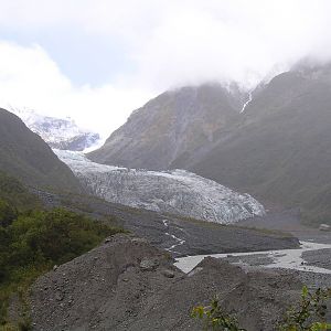 Fox Glacier & Valley - NZ