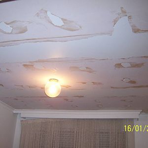 Walsh st - ceilings