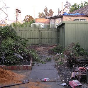 backyard before