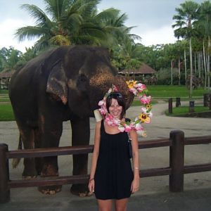 Elephant Safari in Bali
