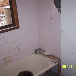 More bathroom reno pic