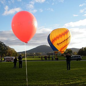 Balloons in Canberra