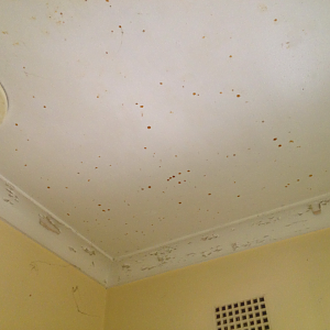 spotty_ceiling