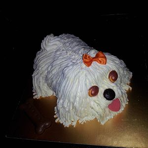 2012-08-18_Puppy_Cake