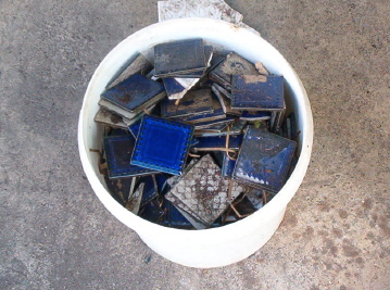 Blue Tiles rescued from the Chicken Coop