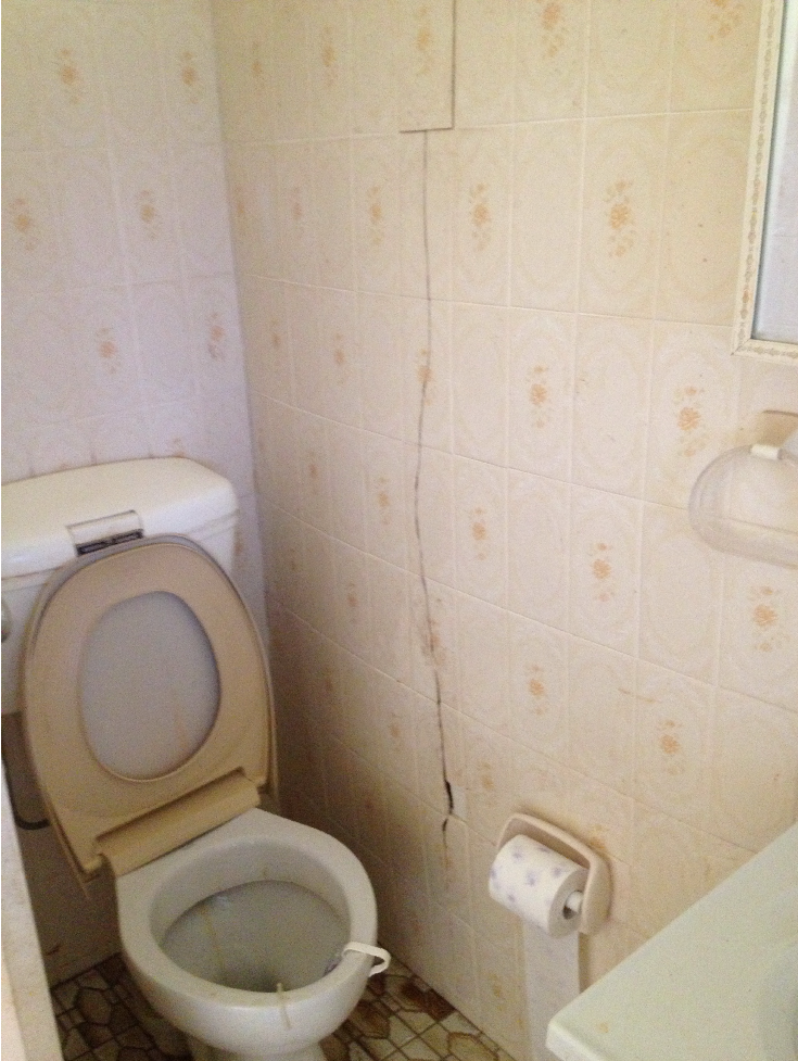 cracked_toilet_wall