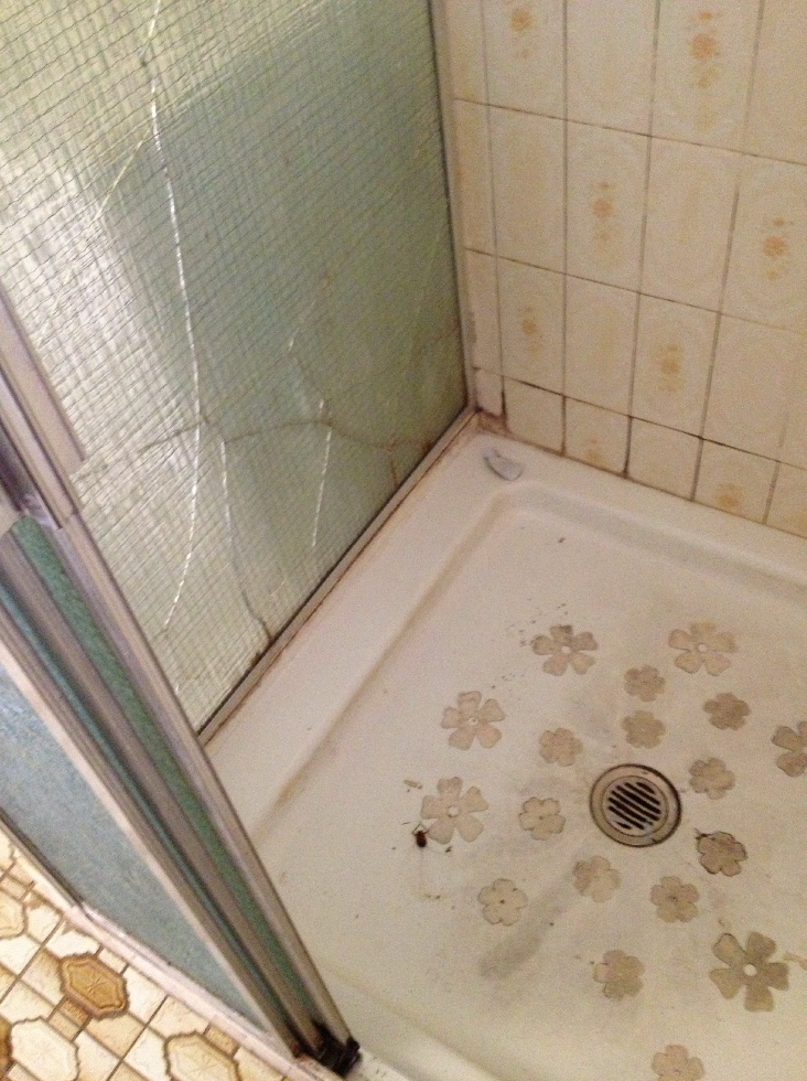 dated_shower