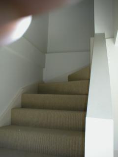 Stairs Carpeted