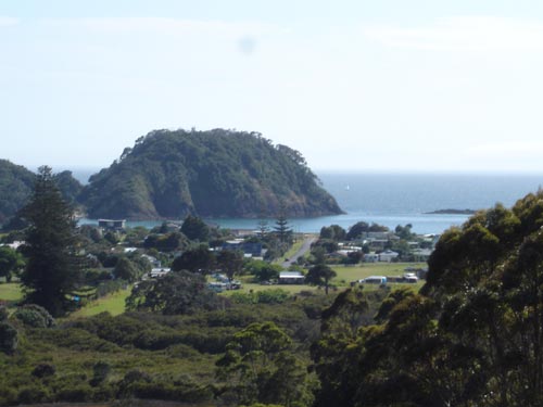 View from our homesite in Matapouri