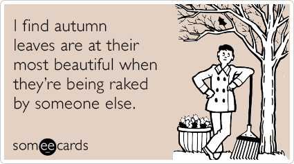 raked-autumn-leaves-seasonal-ecards-someecards.png